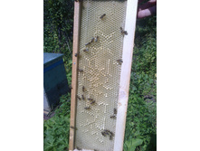 �ޣ�� ������������� ������.