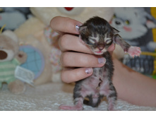 1 ������