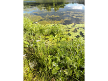 IMG 20150711 182526.jpg