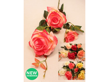 401/0066� - 178.00