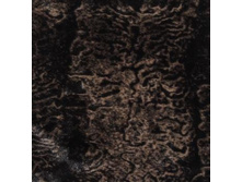 Zoo Collection �������.jpg