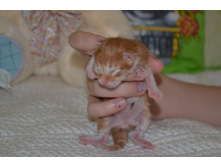 1 ������