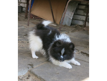 ������� ������ 031.JPG