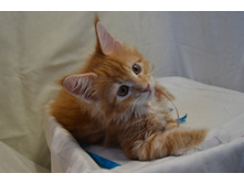 2 ������