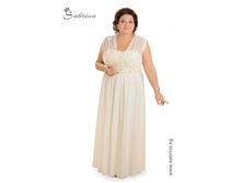 ���� ����������