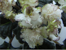 ������ �������1.jpg