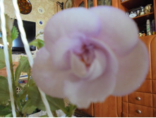 DSC01075.JPG