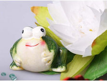 ������ ���� 55�.jpg