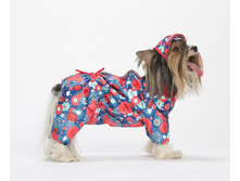 ���������� ������. ����	870