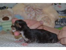 1 ������