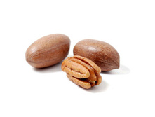 ����� � �������� (�����), 0,5 ��