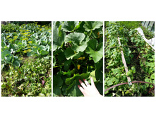 ������� ����� ����� , ������� , ��������  - ����