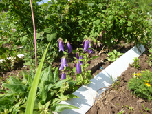 P1030985.JPG ����������� �������� ����� 50�