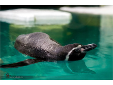20150510-15-53-41-VIK 0038.jpg
