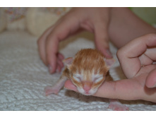 1 ������