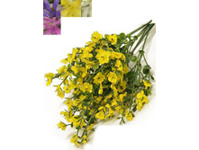 7143:00013:7�X ��������� *7 7143:00013:7�X ��������� *7 ------ ������� 7143:00013:7�X �������,�� 30 �� ����,���. (��) 39.00.jpg