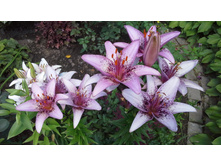 20150704 123951.jpg