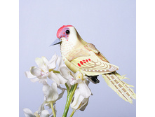 ����� ������ 6 �� A 3008 153�.jpg