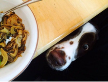 ������� �������.jpg