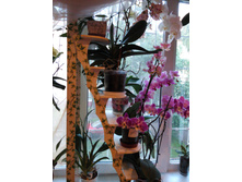 IMG 20150723 201552.jpg