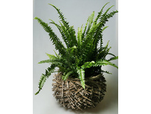 ����� 985801 350 �.jpg