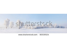 Stock-photo-winter-beautiful-landscape-with-trees-covered-with-hoarfrost-90539524.jpg