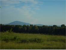 DSCN0213.jpg
