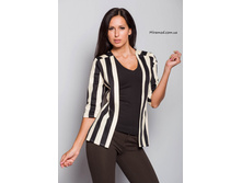 ������ �����