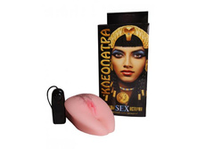 ������ "���������"