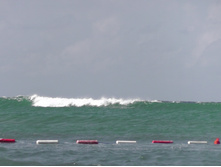 �������������