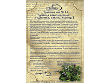 �������� ��� №24 «������ ������������ » (�������, ������ ������).png