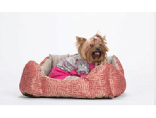 ������� ����� 225-1. ����	����	1390	���.