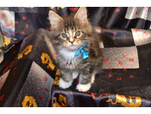 2 ������