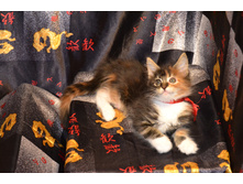 2 ������