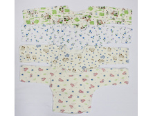 ���������� 1202-02