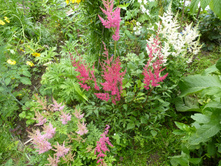 P1040055.JPG �������� 70�