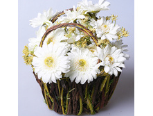 ������� �� ������� BH13A 270S 225�.jpg