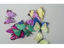 ������� 457097 180�.jpg