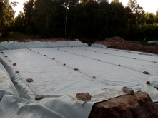 IMG 20150726 185302.jpg