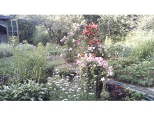 IMG 20150702 184449.jpg