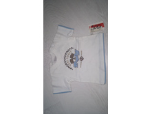 �������� 62 ������ ���� 150 �