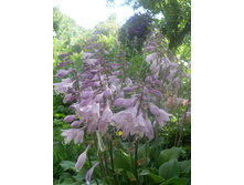 �����  100