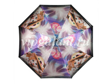 ������� ���� Dolphin 1348 (2).jpg