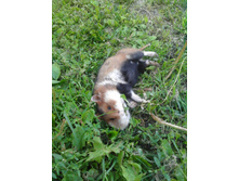 ������ 213.jpg