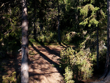 IMG 20150821 104227.jpg