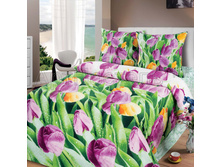 9641-1 Triumf s 2 kompanonami.jpg