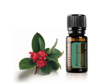 ���������� Wintergreen Essential Oil