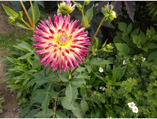 �������� �������