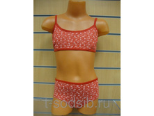 �������� �-������� (���+�����) TS9-0007 105 �.