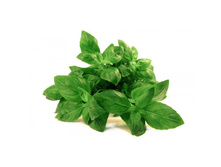 ������� �������, 50 ��. ������